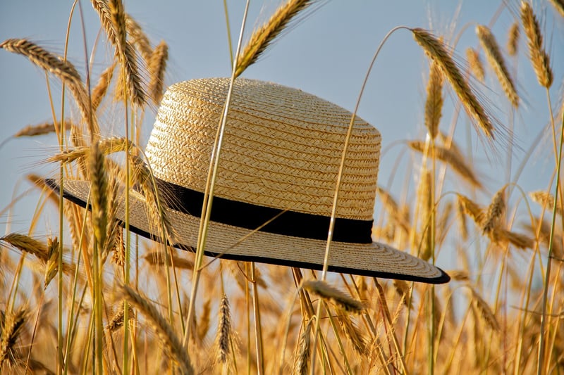 Bucket Hats